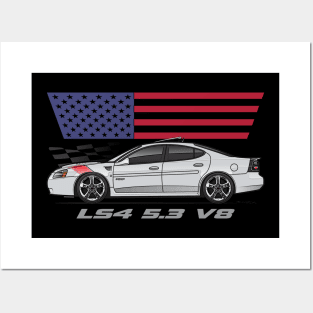 LS4 Silver 2 Posters and Art